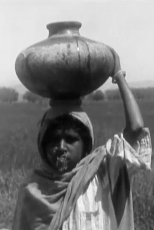 A Punjab Village poster