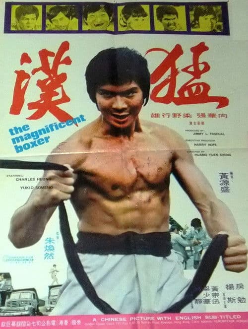 The Magnificent Boxer poster