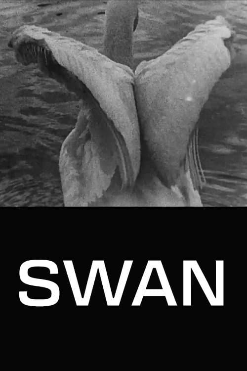 Swan poster