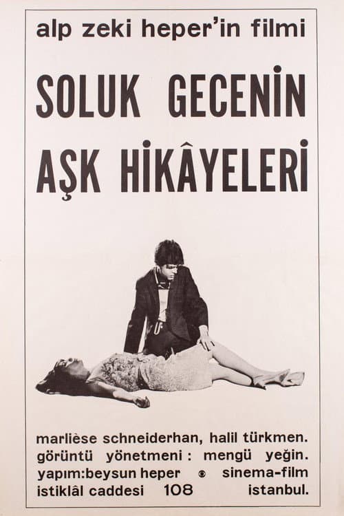 Love Stories of the Pale Night poster