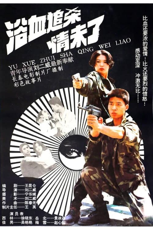 The Detective and The Desperado poster