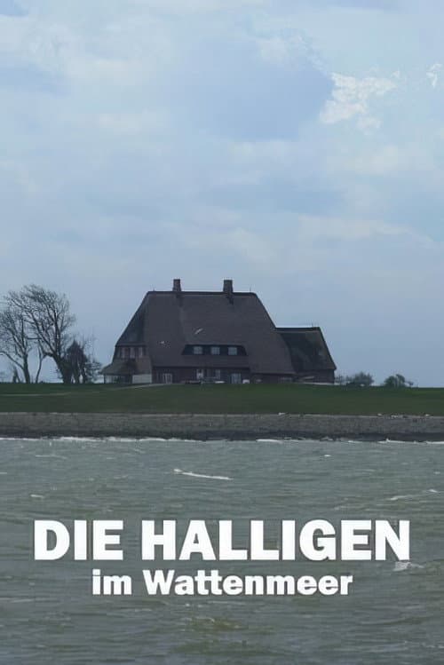 Die Halligen im Wattenmeer poster