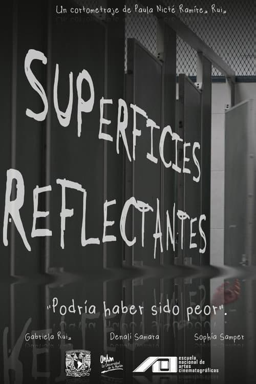 Reflective Surfaces poster