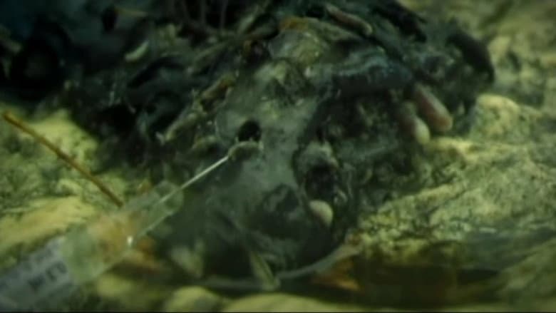 Cannibal still