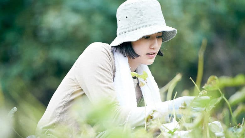 Little Forest: Summer/Autumn still