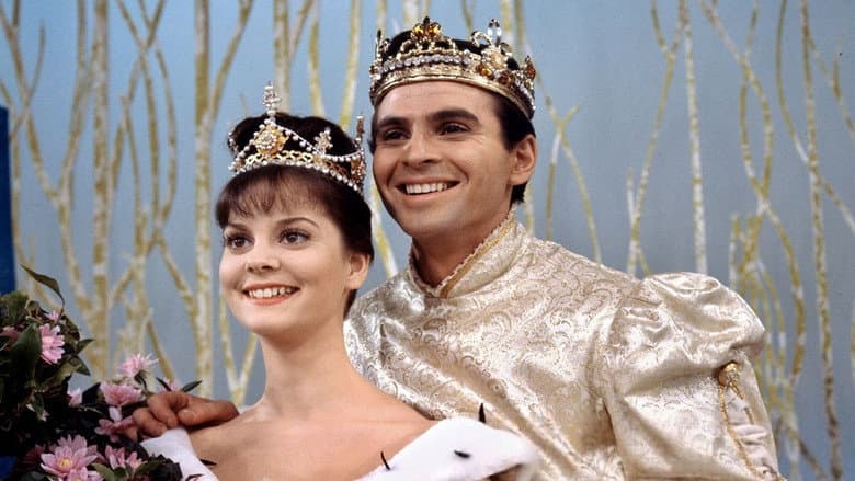 Cinderella still