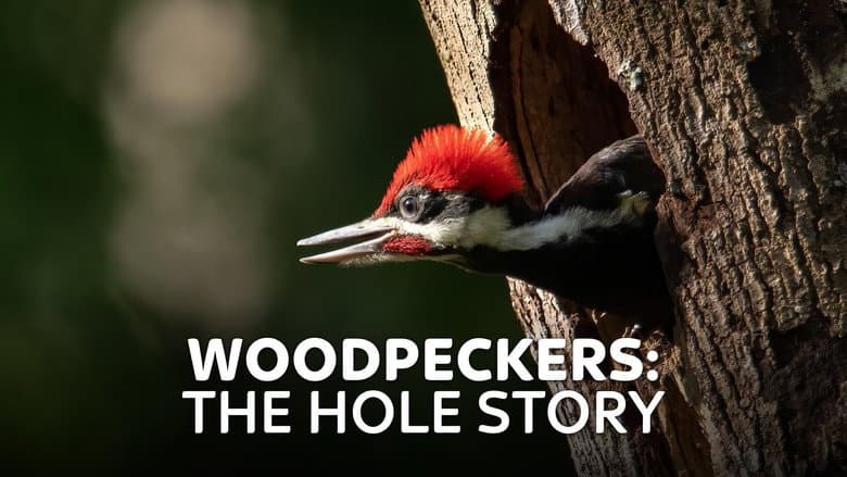 Woodpeckers: The Hole Story still