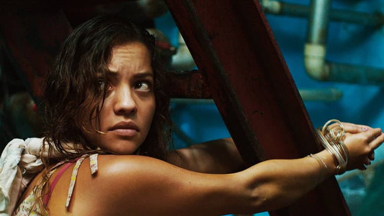 Submersible still