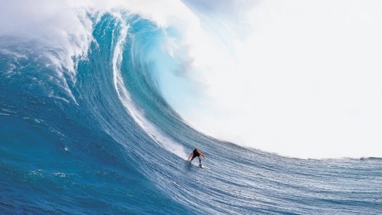 Billabong Odyssey still