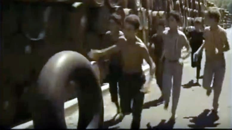 Les Moineaux d'Algérie still