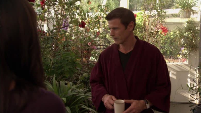 The Good Witch's Garden still