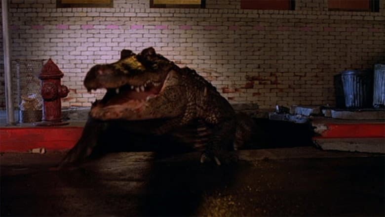 Alligator still