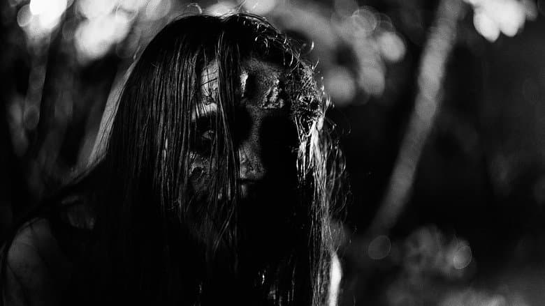 When Darkness Comes still