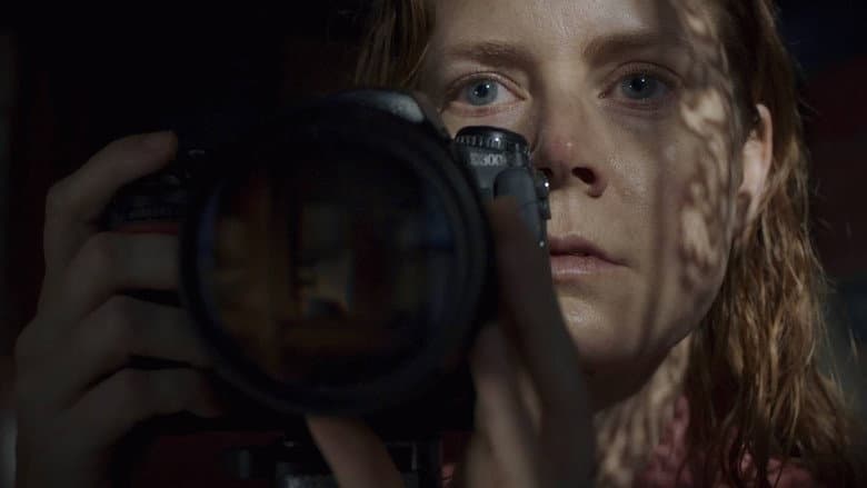 The Woman in the Window still