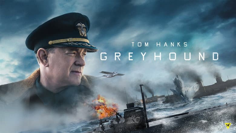 Greyhound still