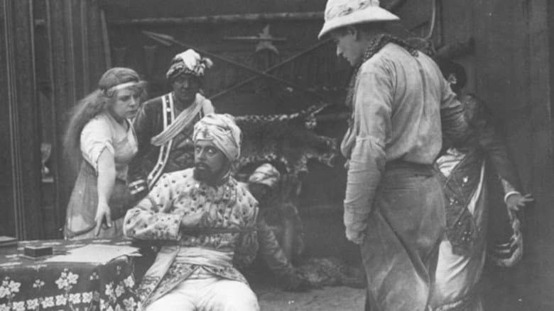The Leopard's Foundling still