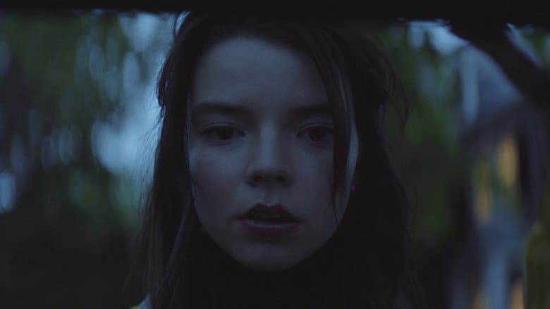 Thoroughbreds still