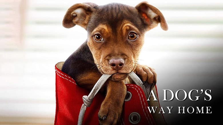 A Dog's Way Home still