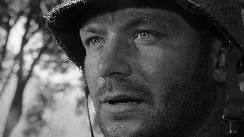 Men in War still