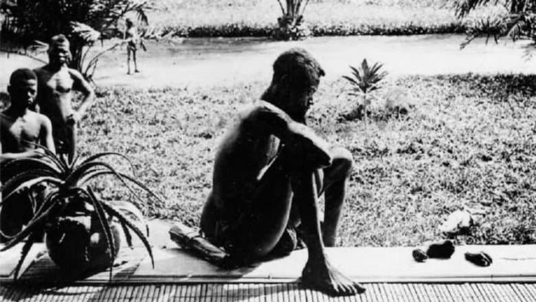 Congo: White King, Red Rubber, Black Death still