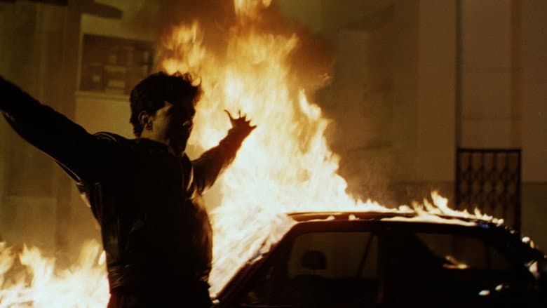Casanegra still