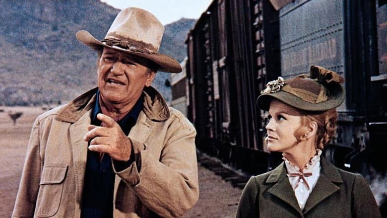 The Train Robbers still