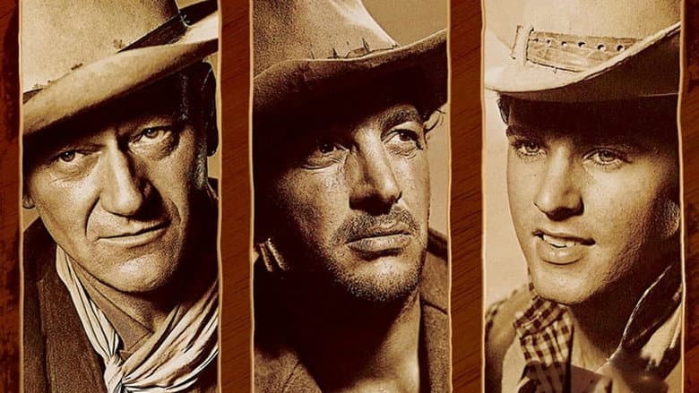 Rio Bravo still