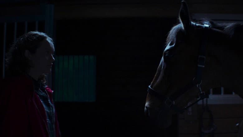 Thoroughbreds still