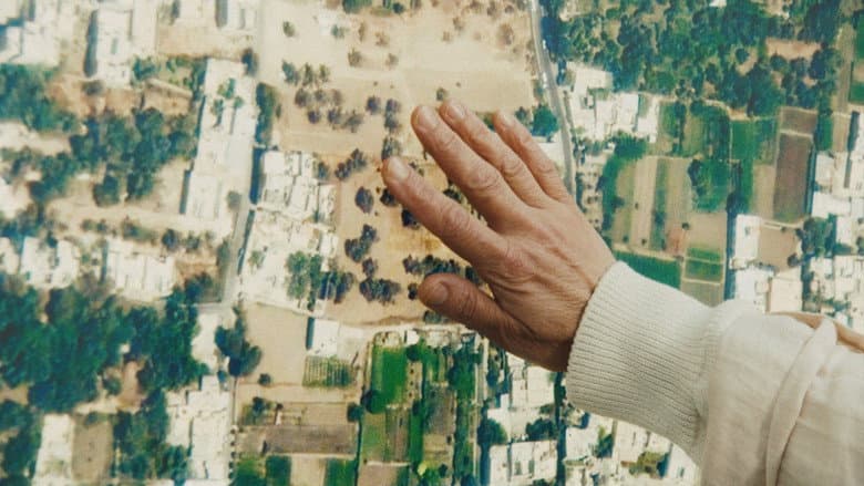 The Orchards still