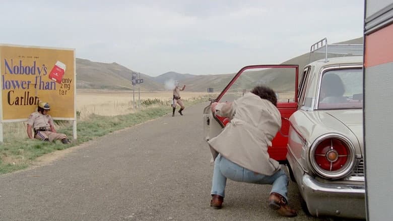 Hitch Hike still