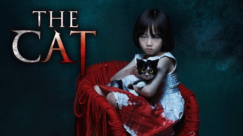 The Cat still