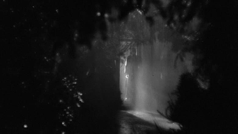 The Night Has Eyes still