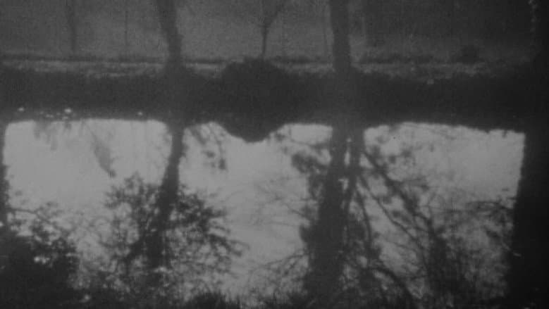 Vampyr still