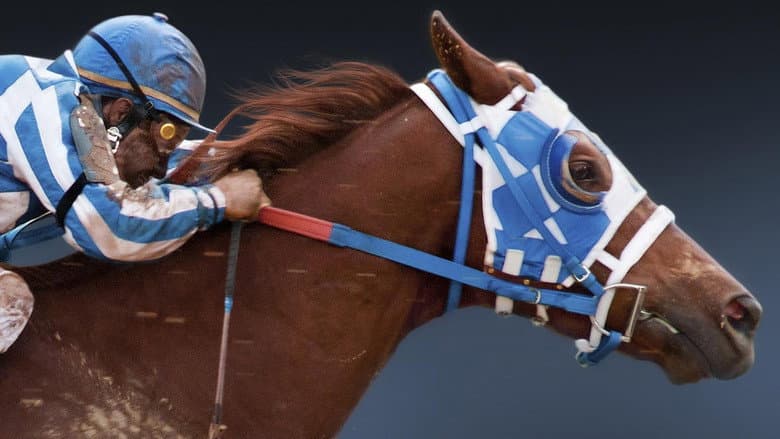 Secretariat still