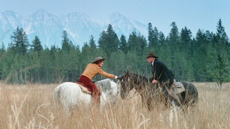 The Grey Fox still