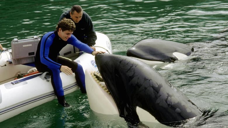 Free Willy 3: The Rescue still