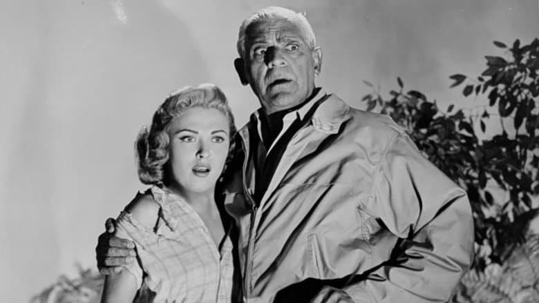 Voodoo Island still