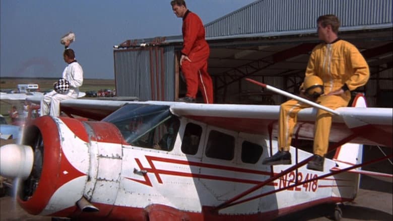 The Gypsy Moths still