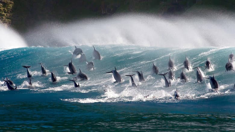 Oceans: Our Blue Planet still