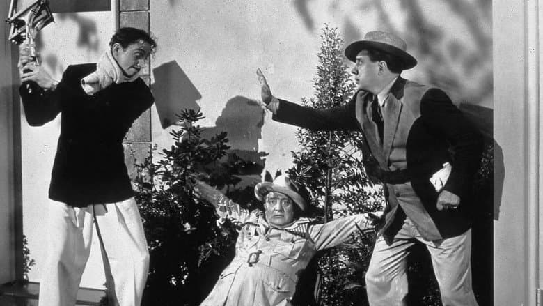 Hellzapoppin' still