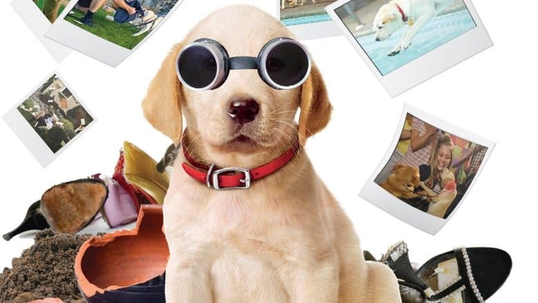 Marley & Me: The Puppy Years still