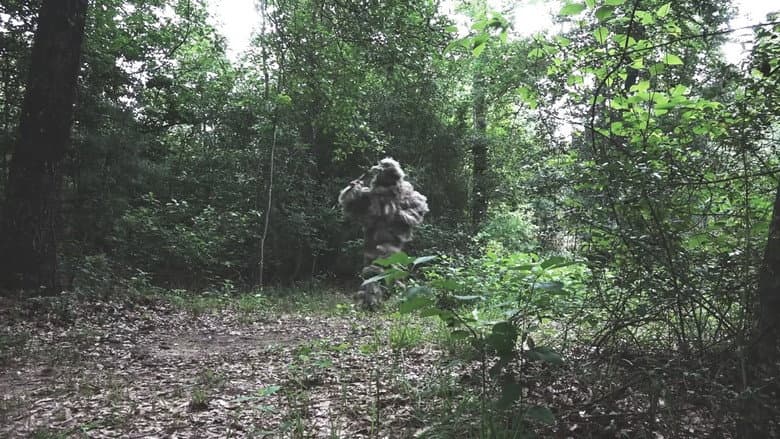 The Mountain Stalker still