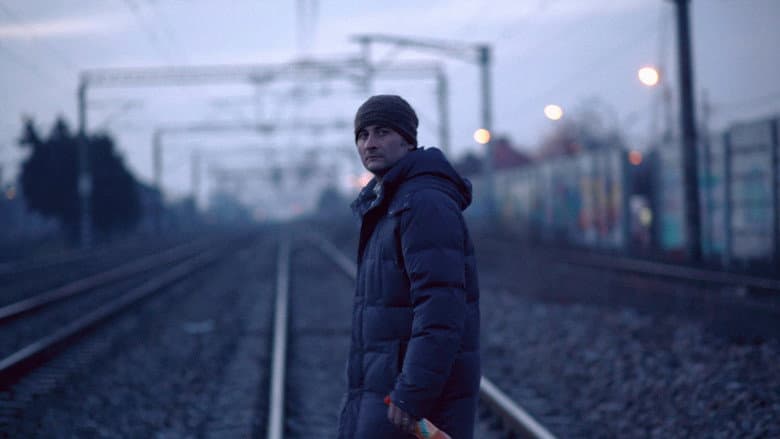 Aurora still