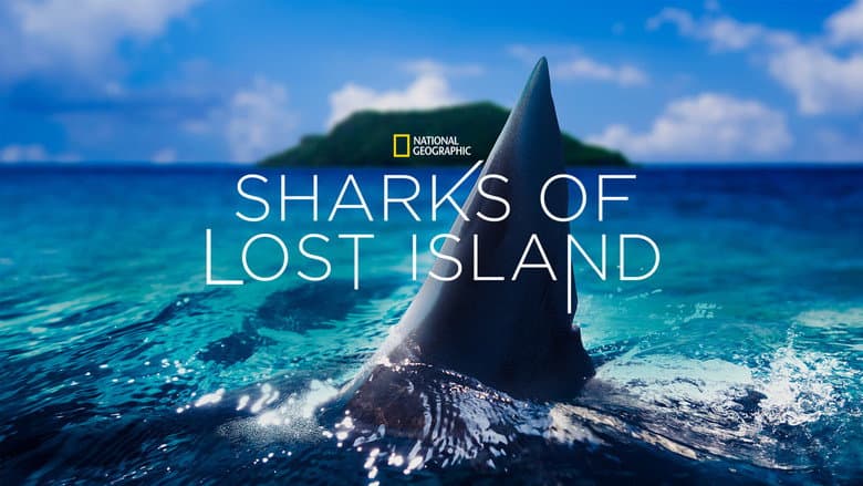 Sharks of Lost Island still
