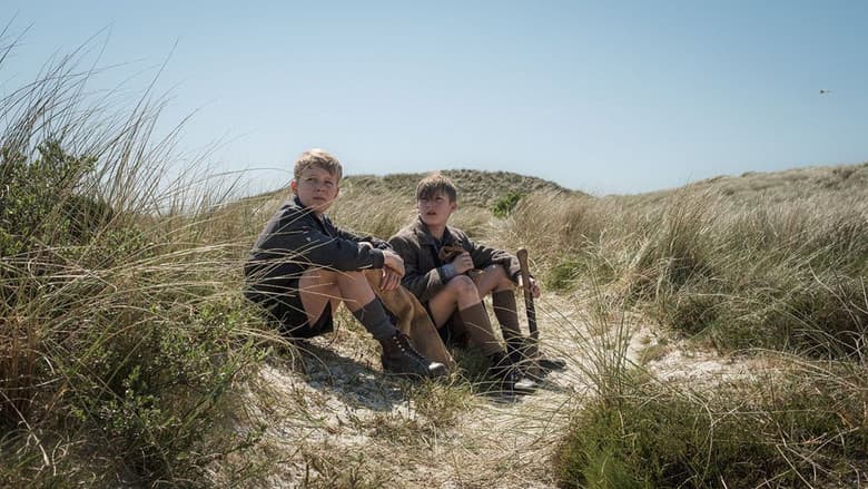 Amrum still