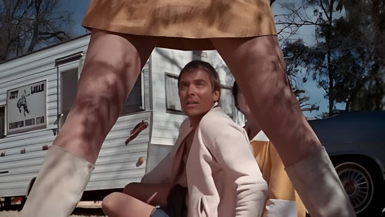 The Mini-Skirt Mob still