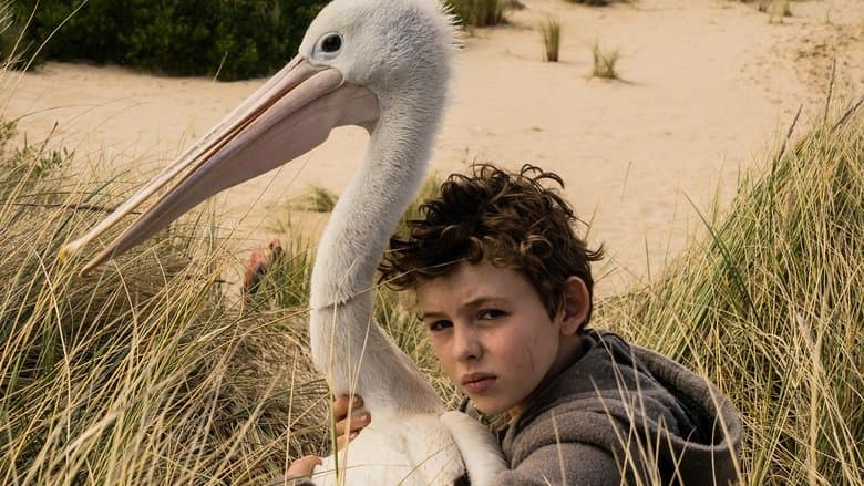 Storm Boy still