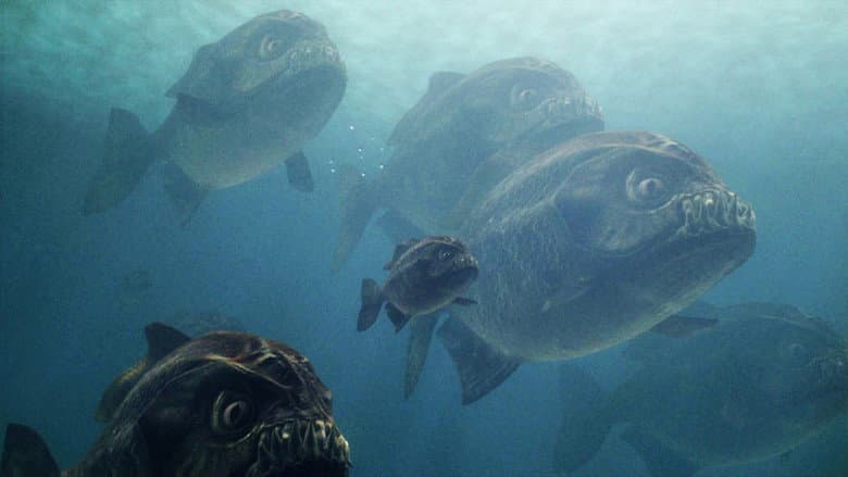 Mega Piranha still
