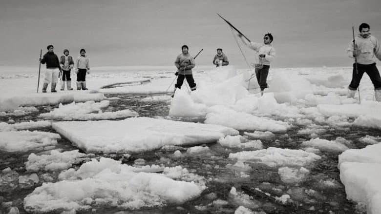 Last Days of the Arctic still