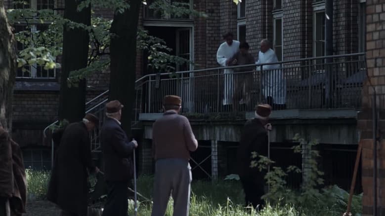 Hospital of the Transfiguration still